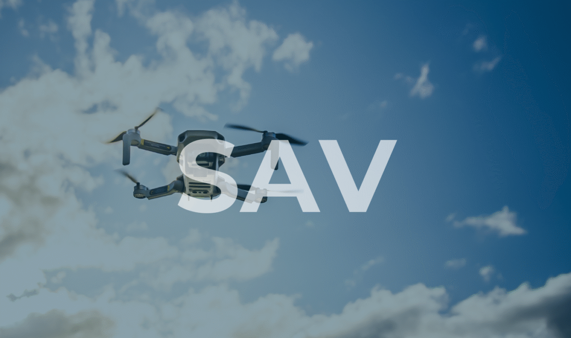 Servicio Acelerador de Ventas - SAV
